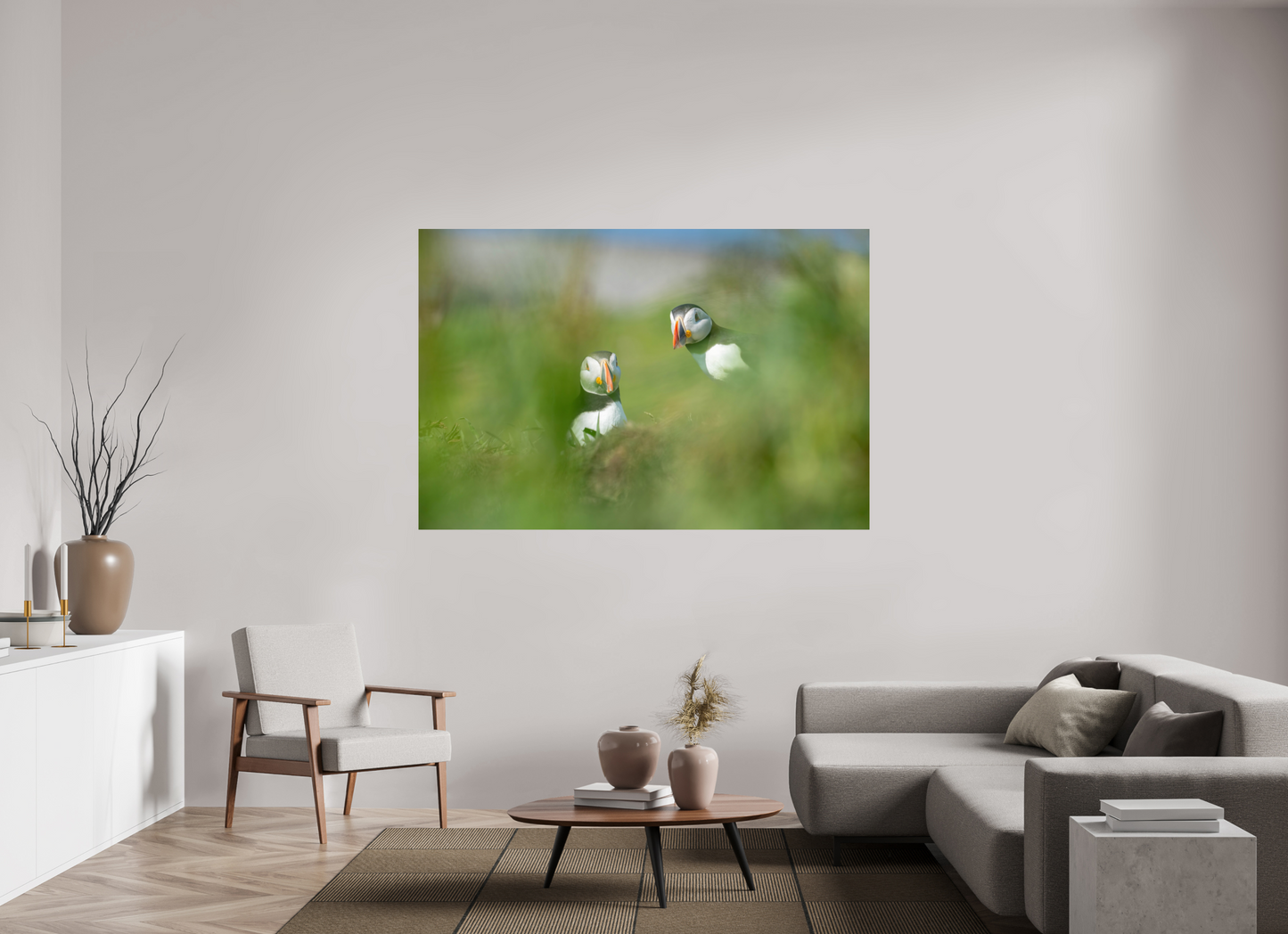 Lunga Puffins