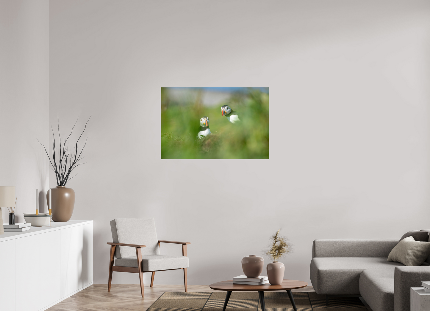Lunga Puffins