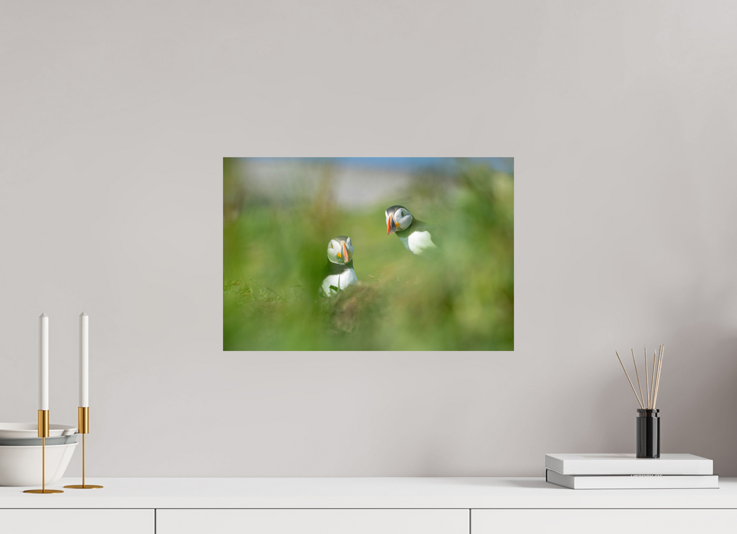 Lunga Puffins