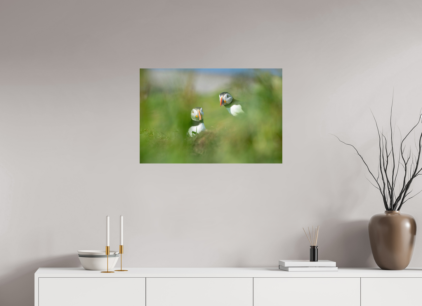 Lunga Puffins