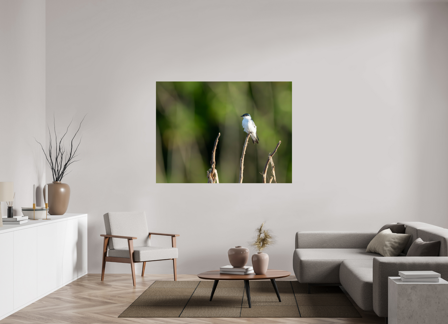 White-Winged Swallow
