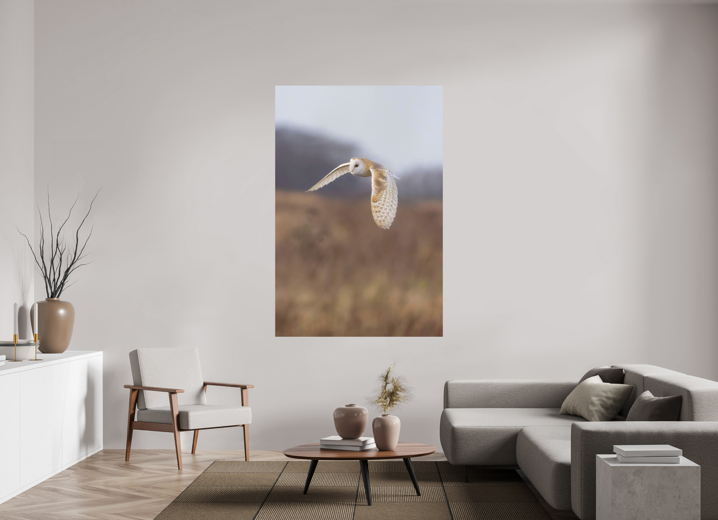 Barn Owl in Flight