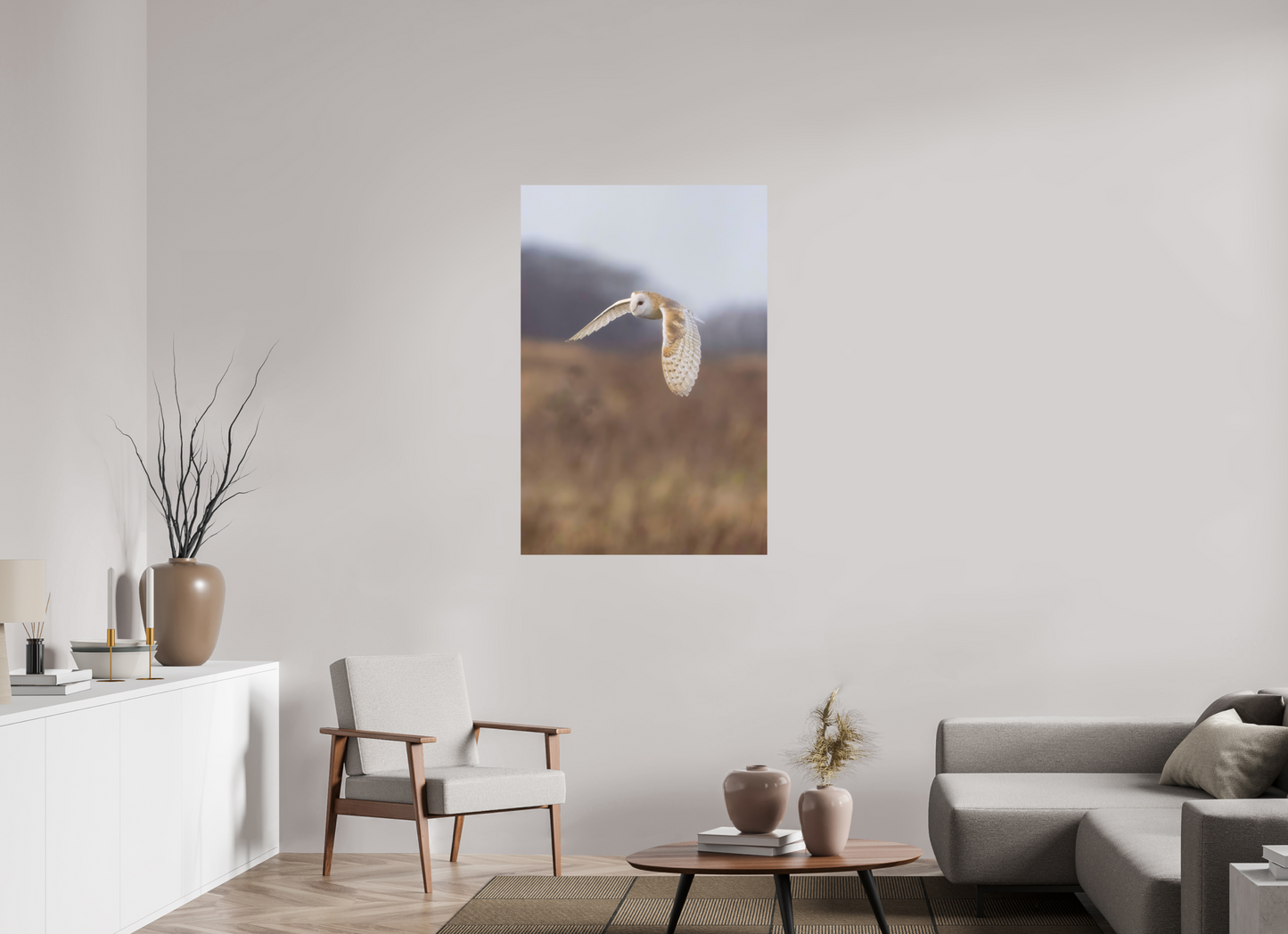 Barn Owl in Flight
