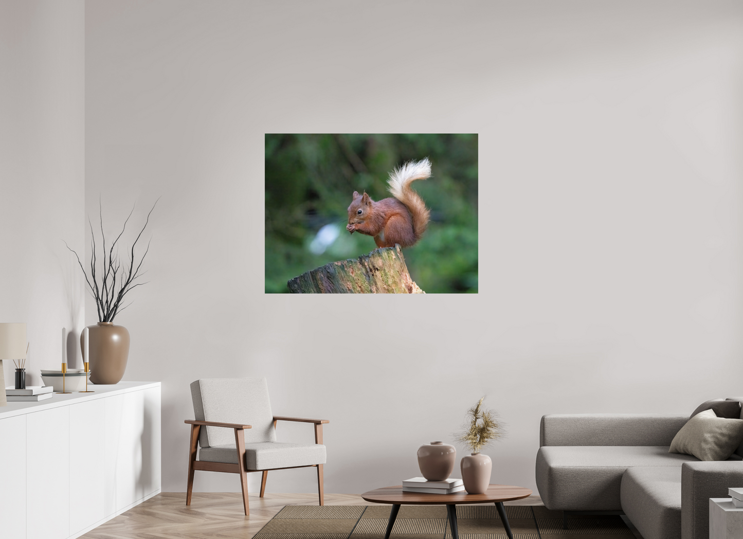 Red Squirrel